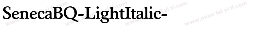 SenecaBQ-LightItalic字体转换