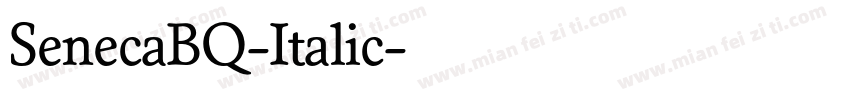 SenecaBQ-Italic字体转换