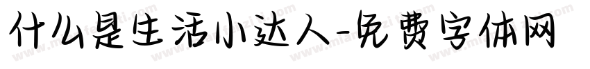 什么是生活小达人字体转换