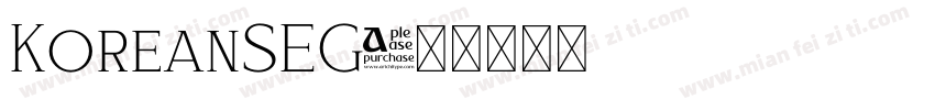 KoreanSEG字体转换