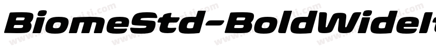 BiomeStd-BoldWideIt字体转换