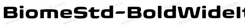 BiomeStd-BoldWideIt字体转换