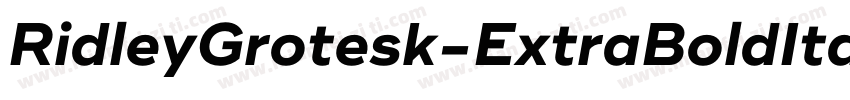 RidleyGrotesk-ExtraBoldItalic字体转换
