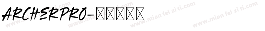 ArcherPrO字体转换