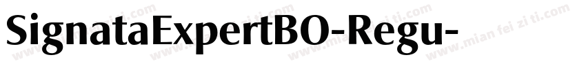 SignataExpertBO-Regu字体转换
