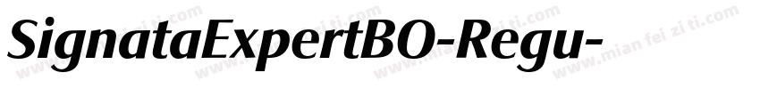 SignataExpertBO-Regu字体转换