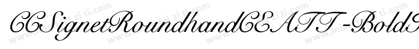 CCSignetRoundhandCEATT-BoldItal字体转换