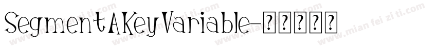 SegmentAKeyVariable字体转换