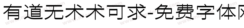 有道无术术可求字体转换