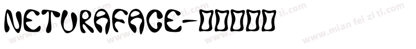 neturaface字体转换