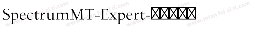 SpectrumMT-Expert字体转换