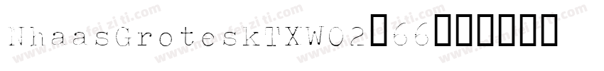 NhaasGroteskTXW02-66字体转换
