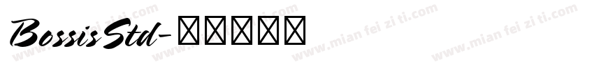 BossisStd字体转换