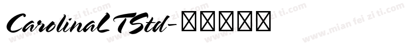 CarolinaLTStd字体转换
