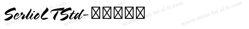 SerlioLTStd字体转换