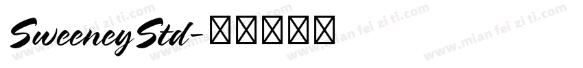 SweeneyStd字体转换