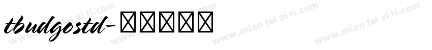 tbudgostd字体转换