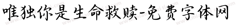 唯独你是生命救赎字体转换