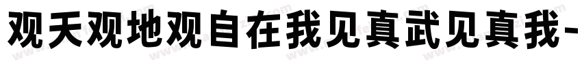 观天观地观自在我见真武见真我字体转换