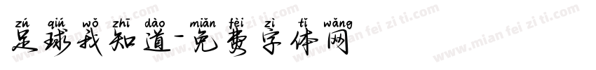 足球我知道字体转换