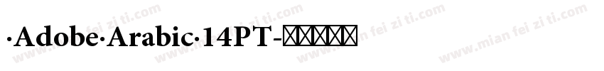 ·Adobe·Arabic·14PT字体转换