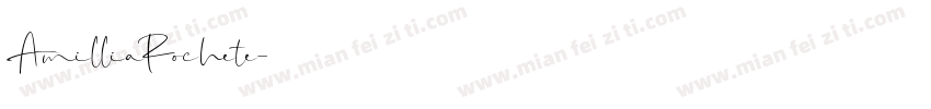 AmilliaRochete字体转换