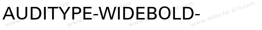 AUDITYPE-WIDEBOLD字体转换