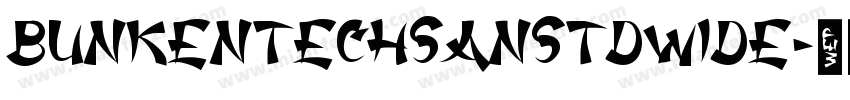 bunkentechsanstdwide字体转换