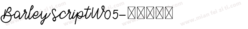 BarleyScriptW05字体转换