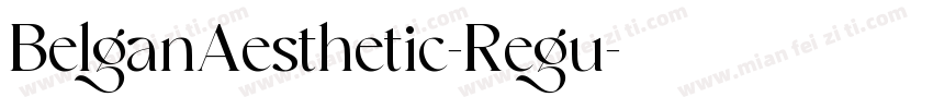 BelganAesthetic-Regu字体转换
