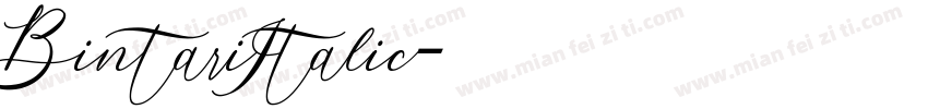 BintariItalic字体转换