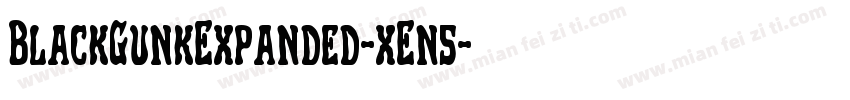 BlackGunkExpanded-xEn5字体转换