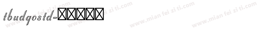 tbudgostd字体转换