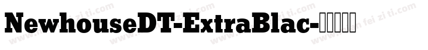 NewhouseDT-ExtraBlac字体转换