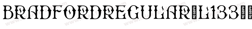 BradfordRegular-L133字体转换