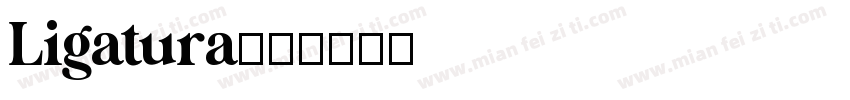 Ligatura字体转换