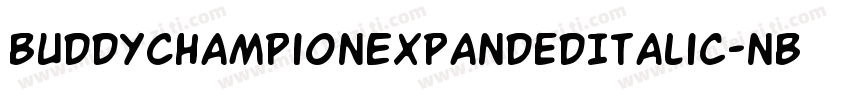 BuddyChampionExpandedItalic-nBPg字体转换