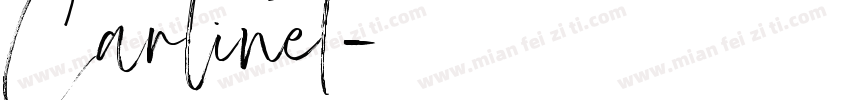 Carlinet字体转换