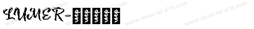 LUMER字体转换