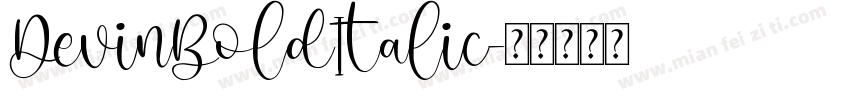 DevinBoldItalic字体转换