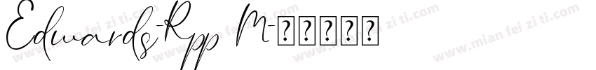 Edwards-Rpp8M字体转换