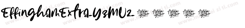 EffinghamExtra-YzMV2字体转换