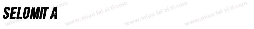Selomita字体转换
