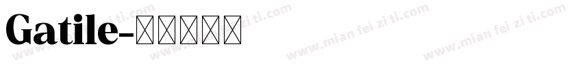 Gatile字体转换