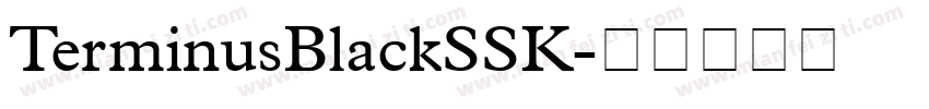 TerminusBlackSSK字体转换