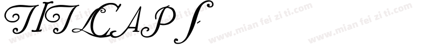 TITLCAPS字体转换