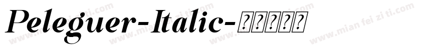 Peleguer-Italic字体转换