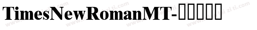 TimesNewRomanMT字体转换