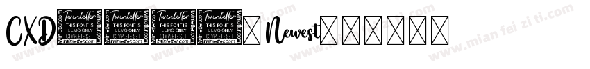 CXD6763_Newest字体转换