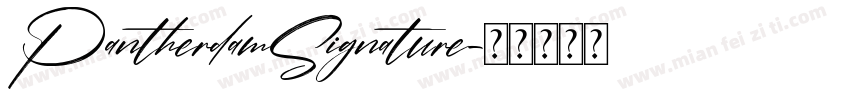 PantherdamSignature字体转换